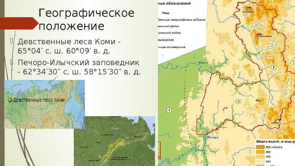 Географическое положение Девственные леса Коми - 65° 04′с. ш. 60° 09′в. д.  Печоро-Илычский